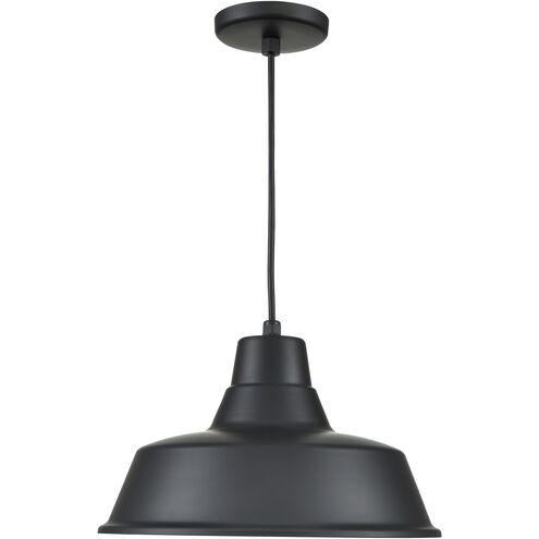 R Series 1 Light 14 inch Satin Black Outdoor Pendant